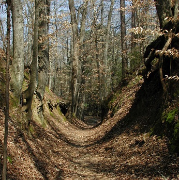 The Old Trace has many sunken areas that were eroded by the footsteps of thousands of travelers.