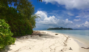 History of the Solomon Islands, Olasana Island