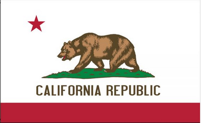California Flag California against trump