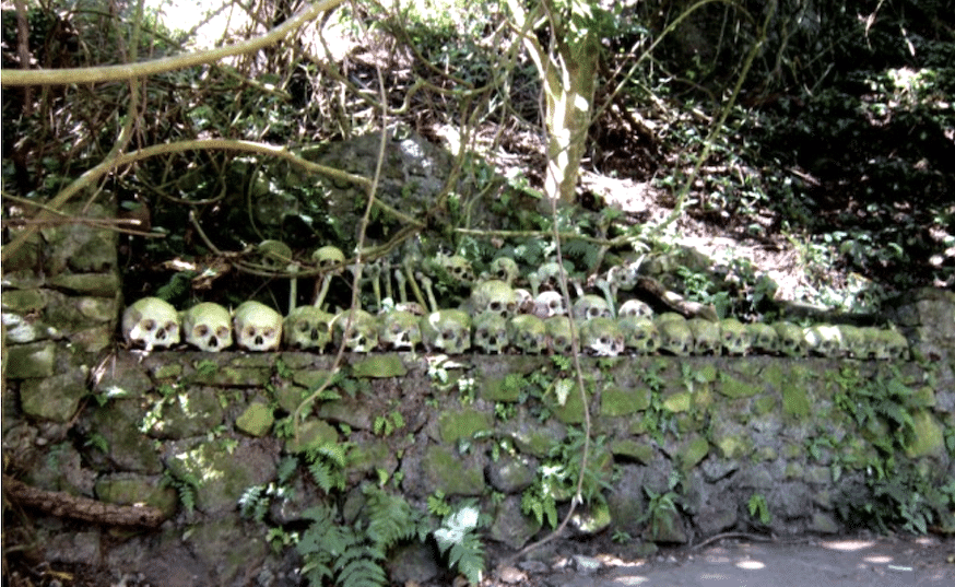 Row of skulls on a wall