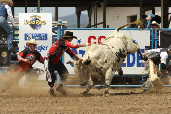 Cody Stampede 2