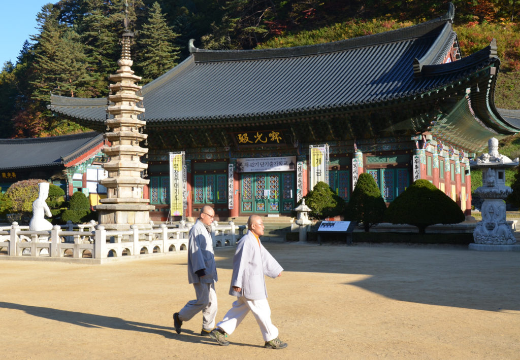 stay at a buddhist temple in korea, woljeongsa