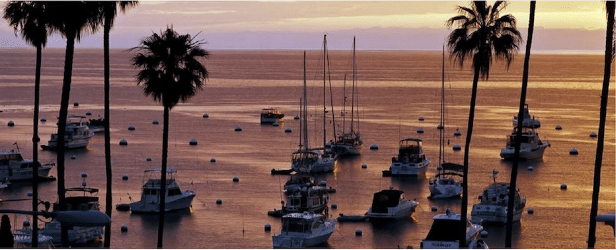 Sail boats in winter