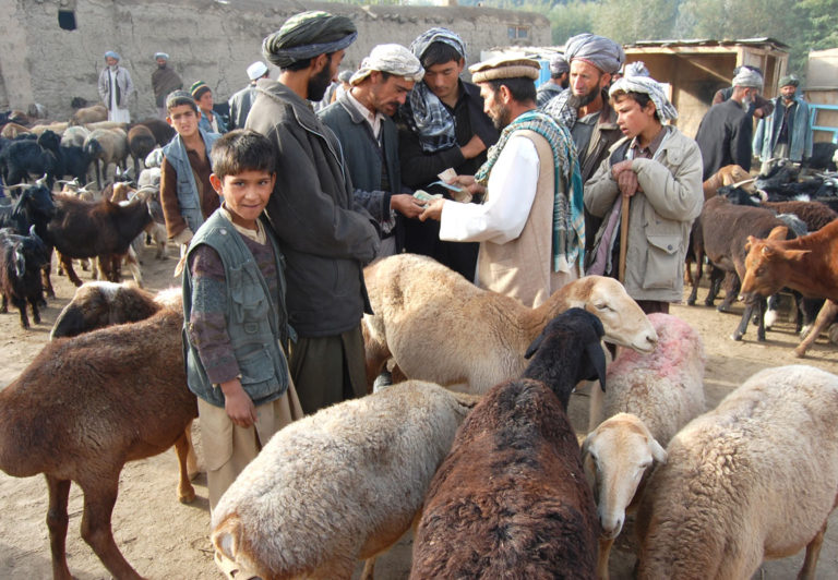Afghanistan, Haggling, kishem