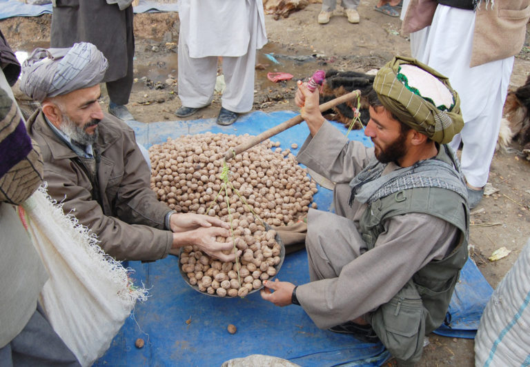 Weighing Walnuts, Afghanistan, Kishem
