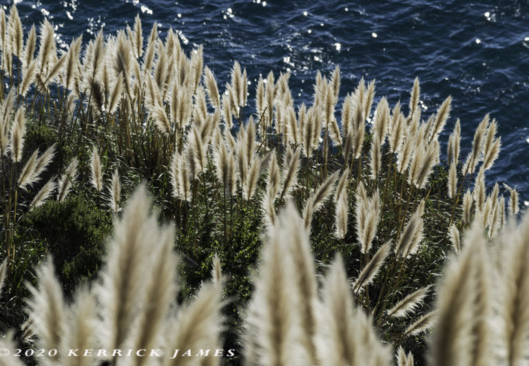 Looking down to the Pacific Ocean from Highway 1, Big Sur