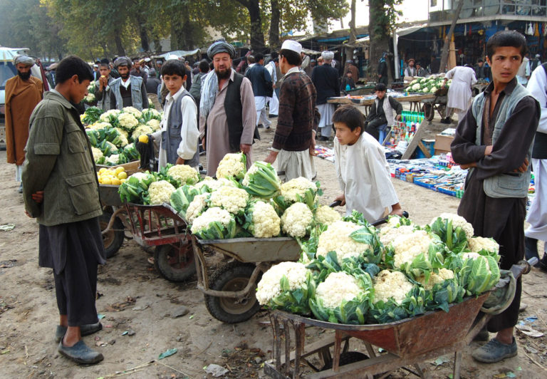 Cauliflower Sellers, Afghanistan