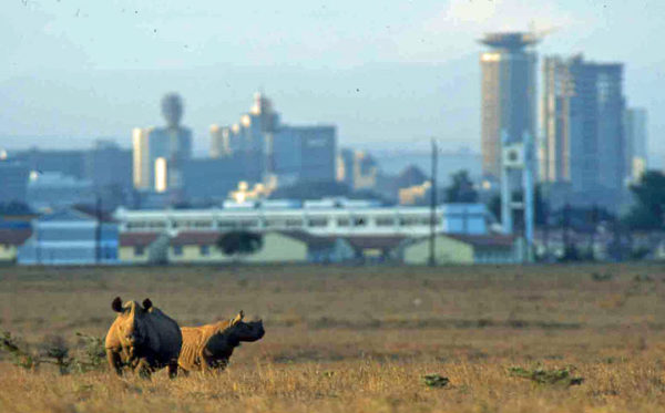 Nairobi-skyline Nairobi-skyline