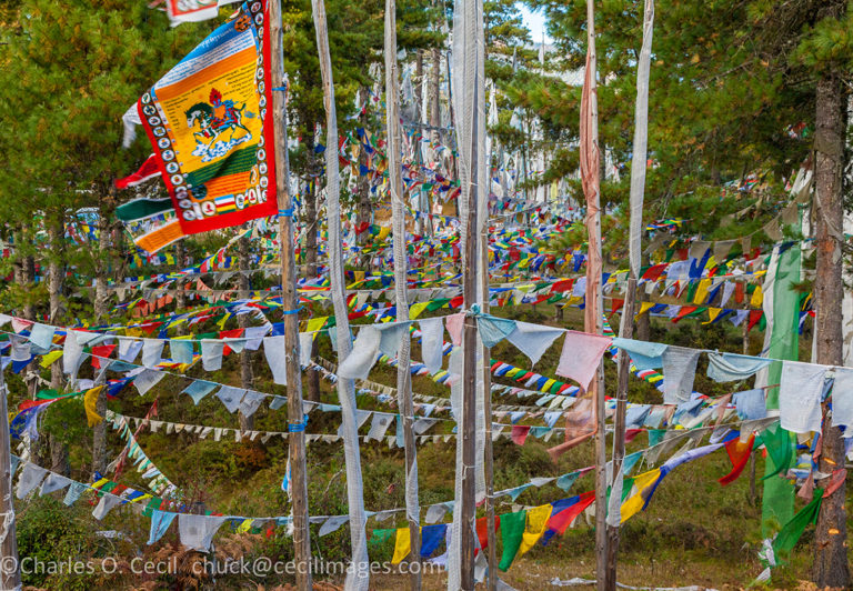 Kikila Pass, near Jakar, Bumthang, Bhutan. Prayer Flags, White or Gray for the Dead, Colored for the Living.