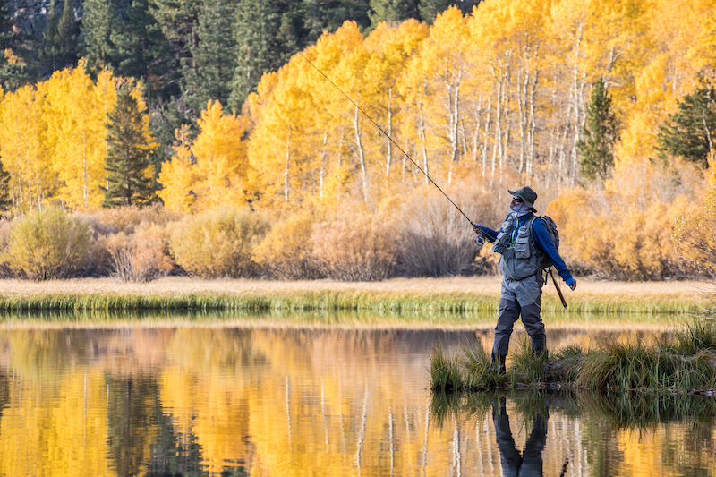 California Fishing for Trout