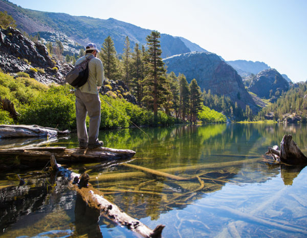 Trout Fishing California Sierra Mountains