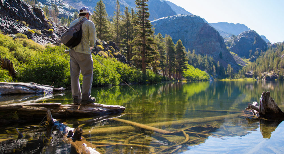 Trout Fishing California Sierra Mountains