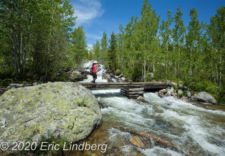 In the spring, many of the streams in Grand Teton National Park run high and fast.