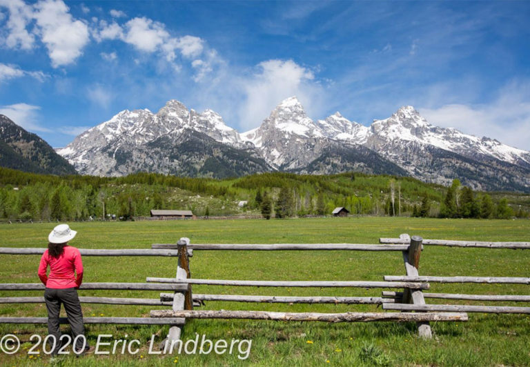 Probably the park’s most iconic feature, and certainly the most photographed, the Grand Tetons dominate the skyline.