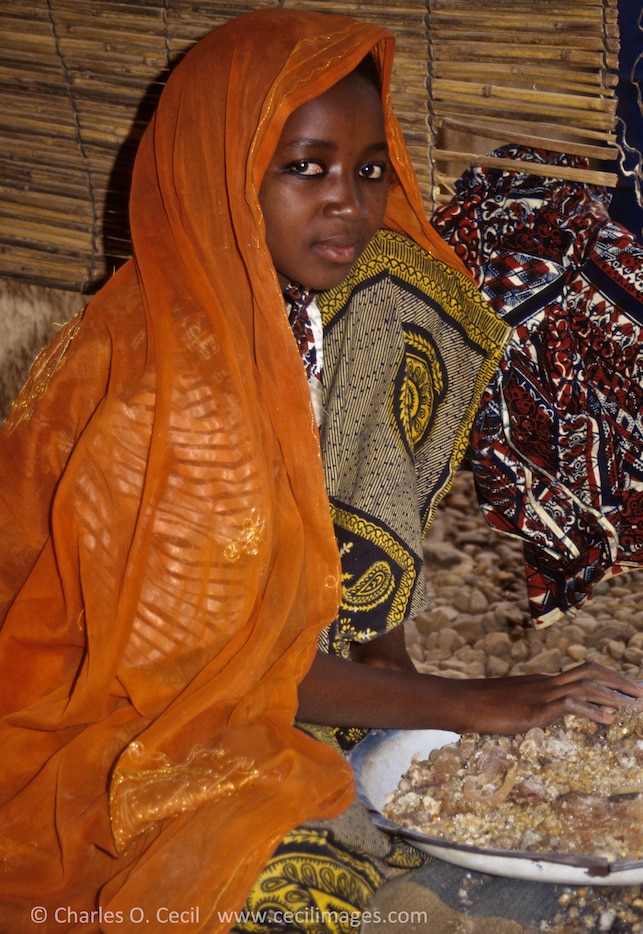 Hausa Woman, Niamey, Niger, West Africa.