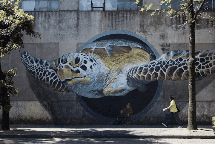 turtle mural