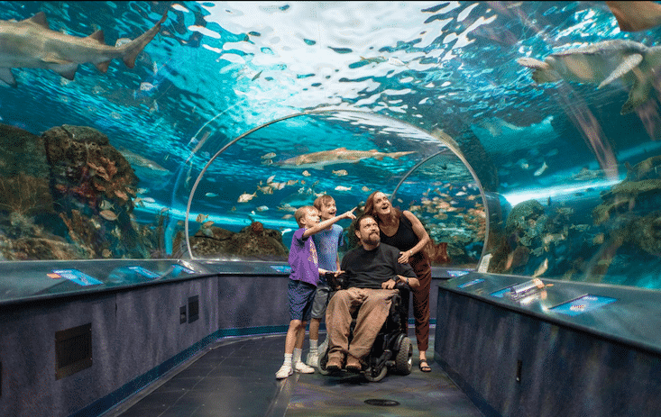 Ripley's Aquarium