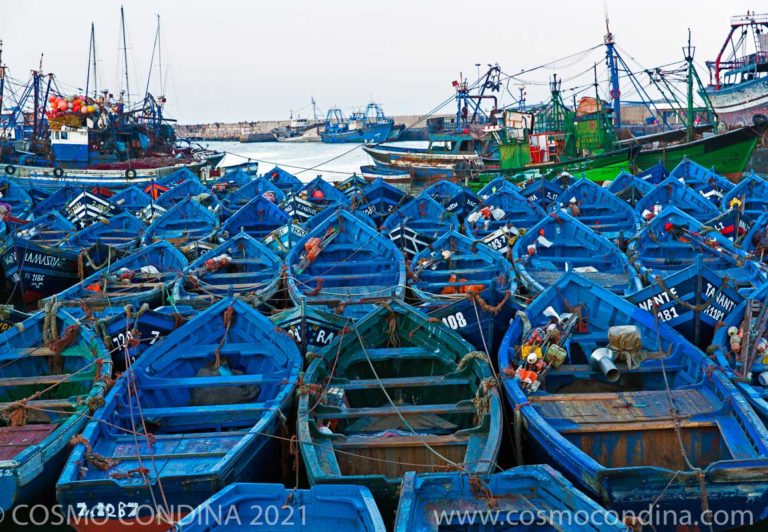 Fishing boats moored in the port city of Essaouira known as the “Wind City of Africa”.