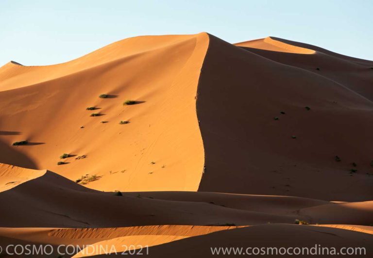 Erg Chebbi sand dunes shape shifting over 28 km from north to south and reaching heights of 160 meters The rose gold dunes look best at sunrise and sunset.