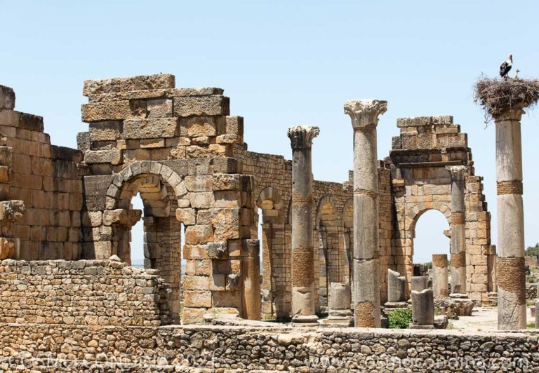 The ruins at Volubilis is a partly excavated Roman city situated near the city of Meknes. The city is the best preserved archaeological site in Morocco and is a a UNESCO world heritage site. Built in a fertile agricultural area, it developed from the 3rd century BC onward as a Berber, then promo- Carthaginian settlement before being the capital of the kingdom of Mauretania. It grew rapidly under Roman rule from the 1st century AD onward and expanded to cover about 42 hectares (100 acres). Volubilis continued to be inhabited until the 18th century, when its marble was plundered for Moulay Ismail’s palaces in Meknes.