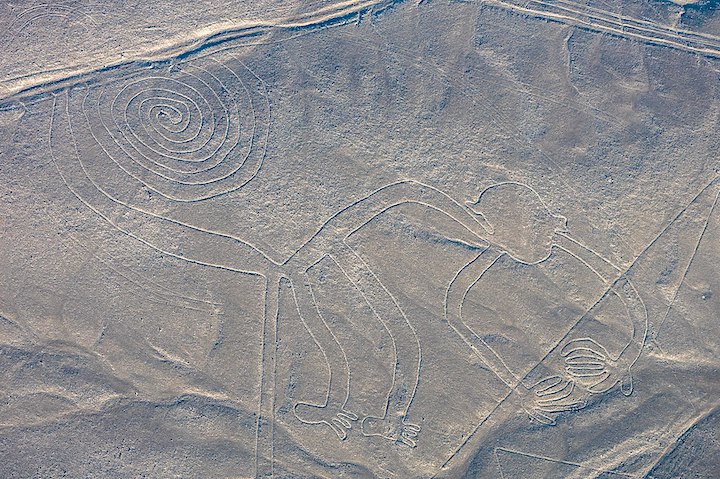 Nazca Lines, The Monkey