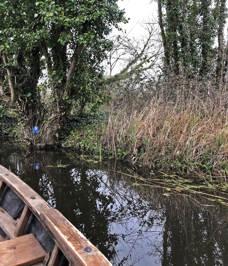 Fairy door beside the River Boyne