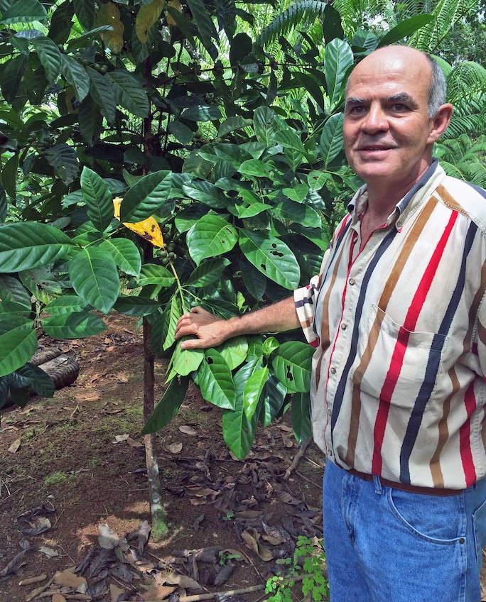 Pablo Gordienko with young coca tree