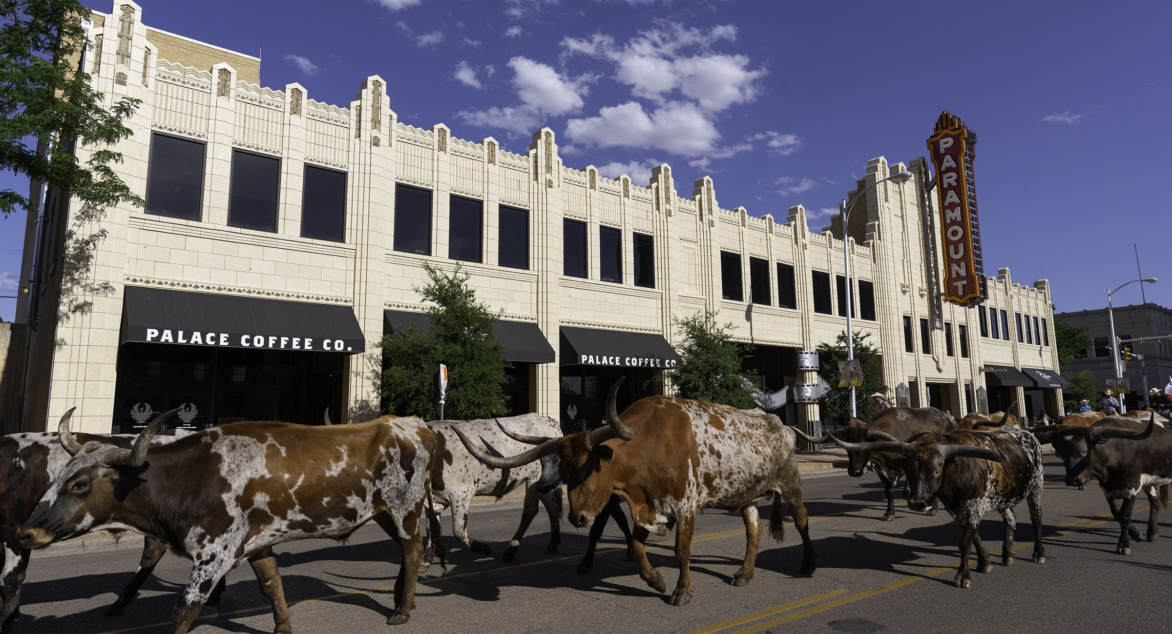 Most folks love an authentic parade and here in Amarillo they make it memorable by driving some wide-span longhorns up Polk Street through the heart of downtown. The cowboys keep them dogies rolling, and as this isn’t Pamplona, the cows don’t chase the tourists…usually. Main Street, Amarillo
