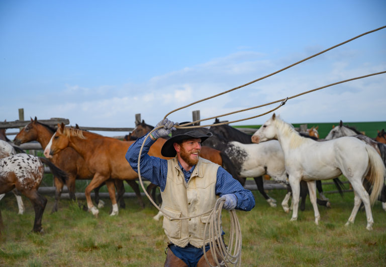 Cameron Kelsey, the owner of the Nine Quarter Circle Ranch, moves horses in the spring from winter pasture to his dude ranch in preparation for summer guests.