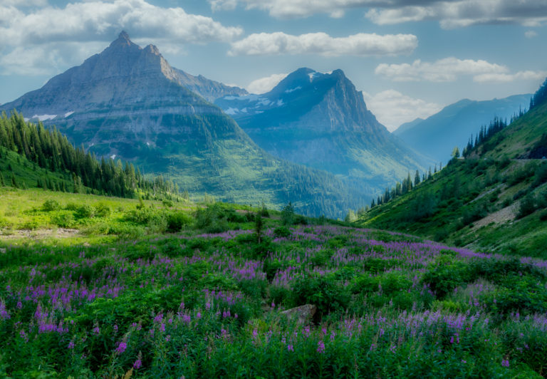 The epic Going-to-the-Sun Road bisects Glacier National Park and provides magnificent views as you climb to the highest point, Logan Pass, at an elevation of 6,646 feet.