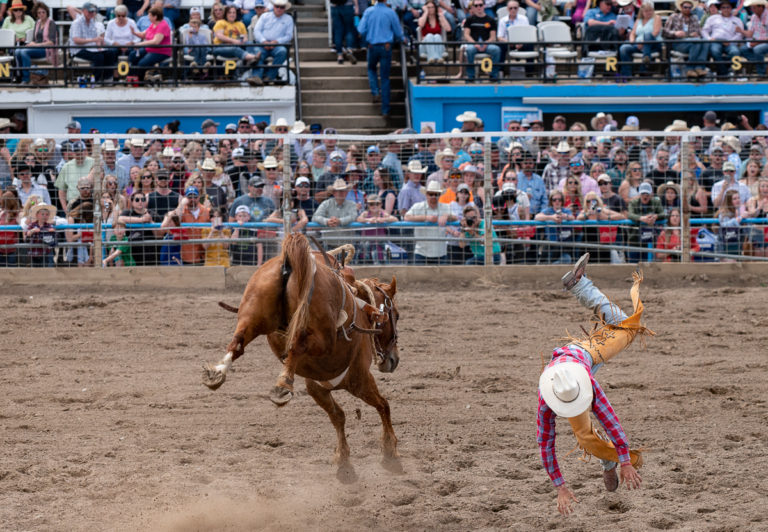 There is no shortage of rodeos in Montana during the warm season, ranging from local ranch rodeos to sanctioned Professional Rodeo Cowboy Association (PRCA) events.
