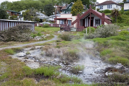  Thermal Steam Rising from the Ground. Ohinemutu Village, Rotorua.