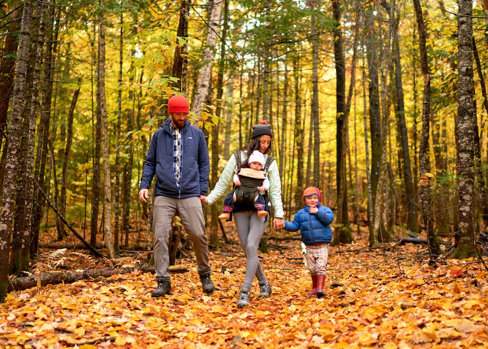 American family hiking through Aroostook State park in Maine