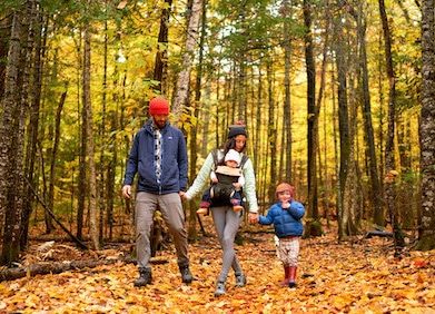 A family hike in Aroostook State Park, Maine copy