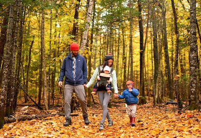 A family hike in Aroostook State Park, Maine copy