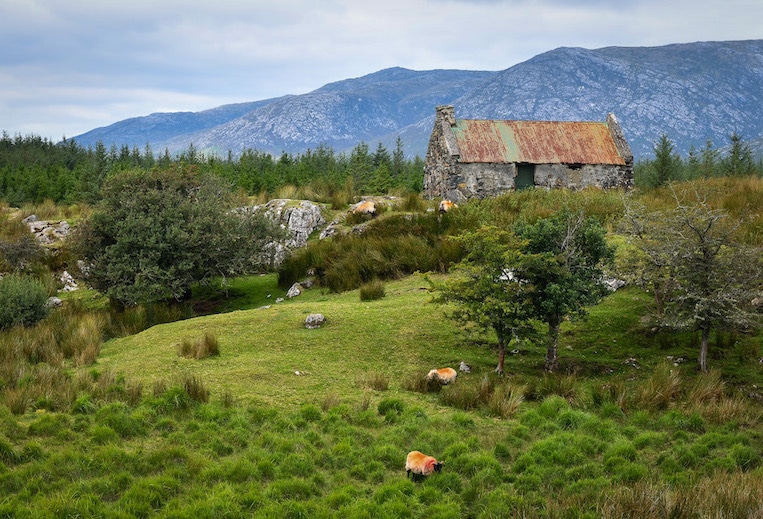 Derelict cottage near Maum Cross