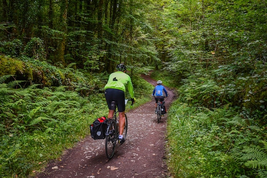 Forest trail to Clonbur