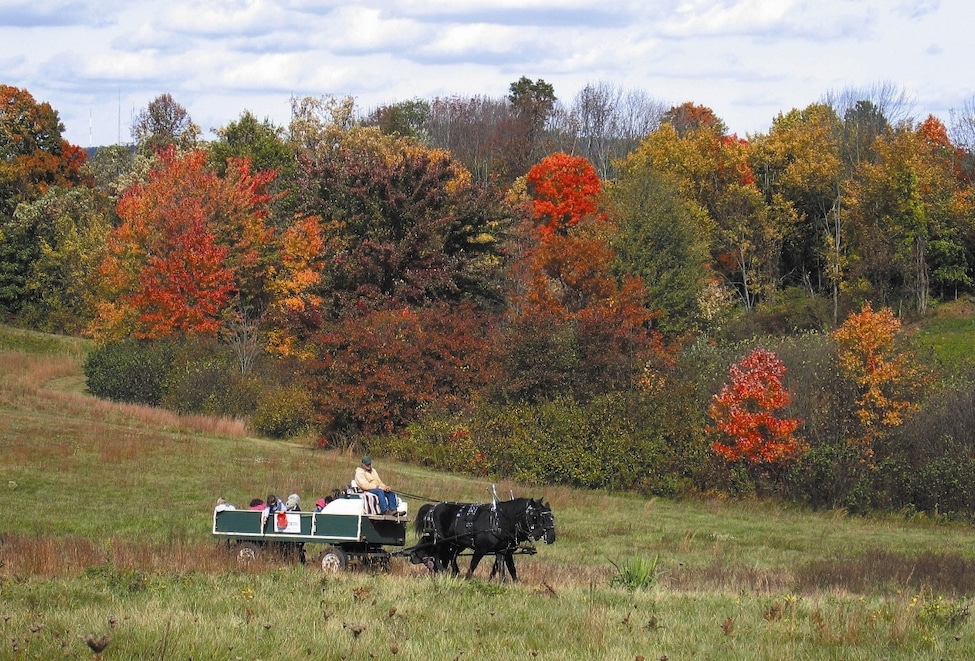 Hill-Stead Museum hay rides afford a leisurely view of the changing fall colors