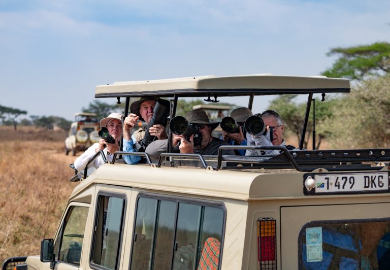 Most Safari vehicles are equipped with pop up tops, enabling clients to stand up for better viewing and photography.