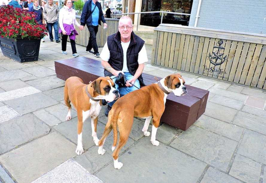 Man walks his two dogs in Whitby