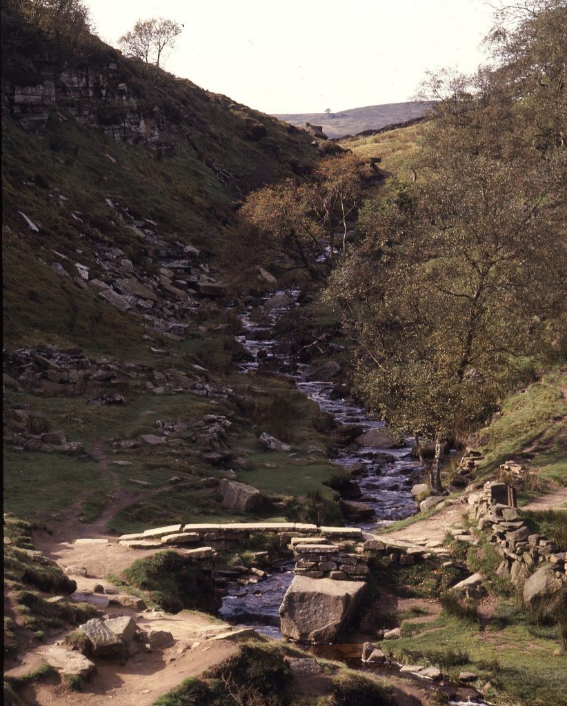 Bronte Bridge and waterfall