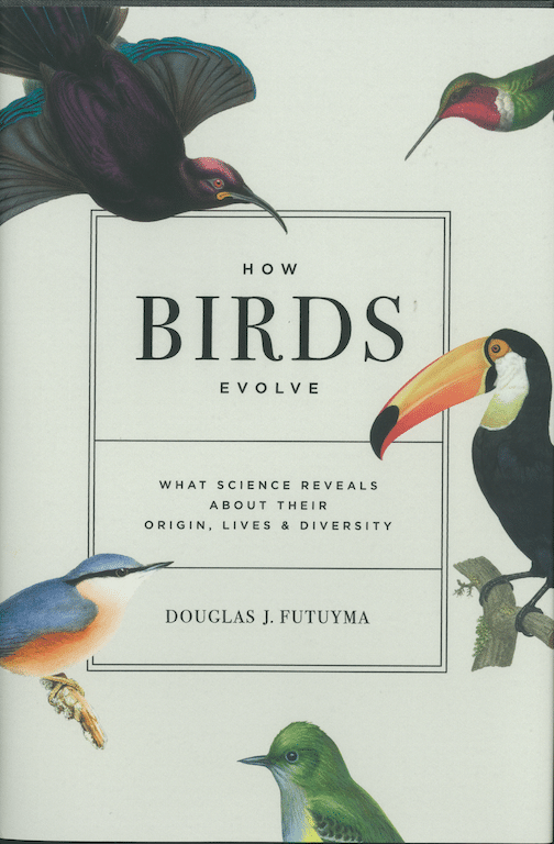 How Birds Evolve book cover