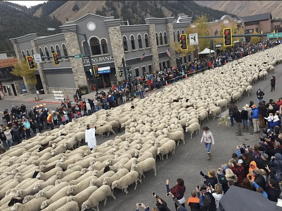Trailing of the Sheep Festival, Hailey, ID