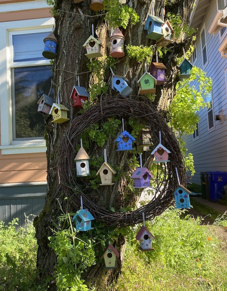 tiny bird houses