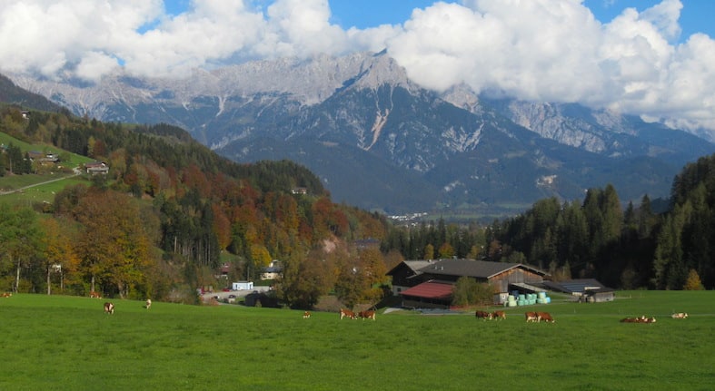 Farm in Leogang