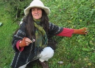 Alps view from Leogang