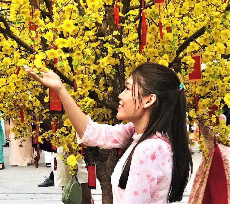 Saigon woman in ao dai