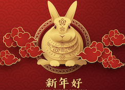 Rabbit Logo