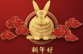 Screenshot 2023-01-18 at 1.52.24 PM copy Rabbit Logo