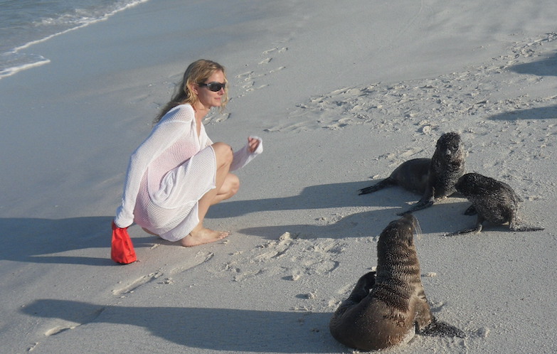 Galapagos sea lions